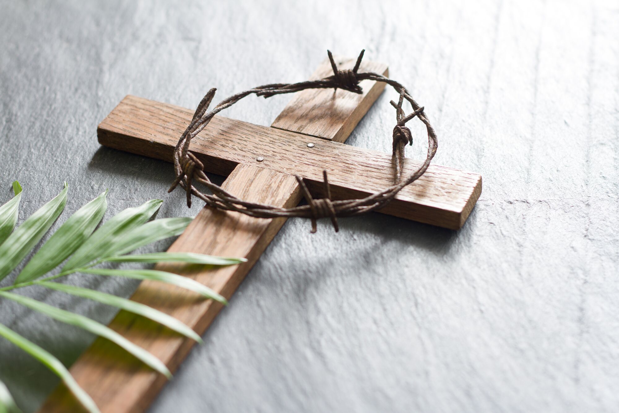 Fastenzeit und Karwoche: Dornenkrone und Palmzweig liegen auf einem Kreuz