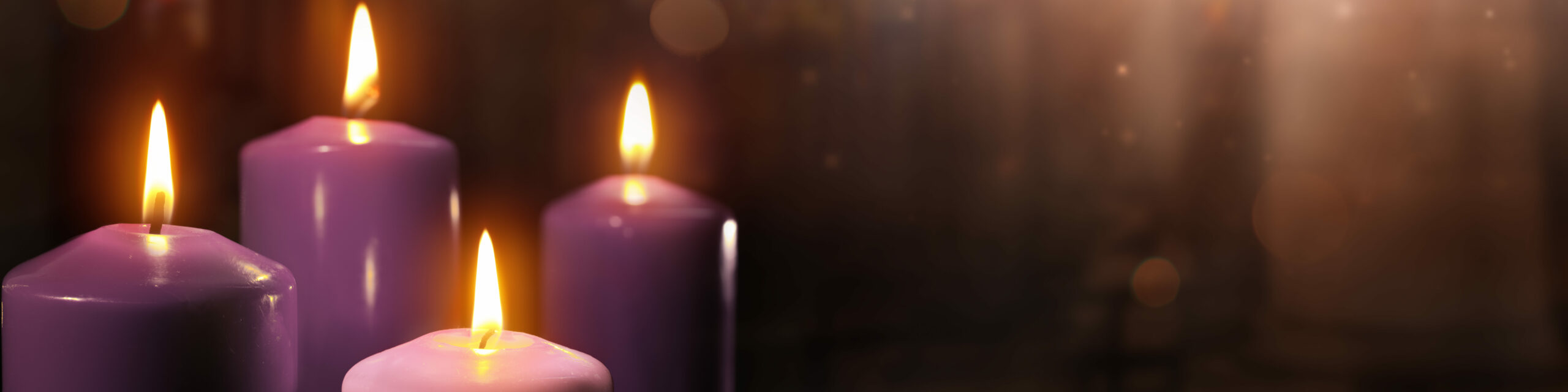 Adventskranz in liturgischen Farben Violett und Rosa