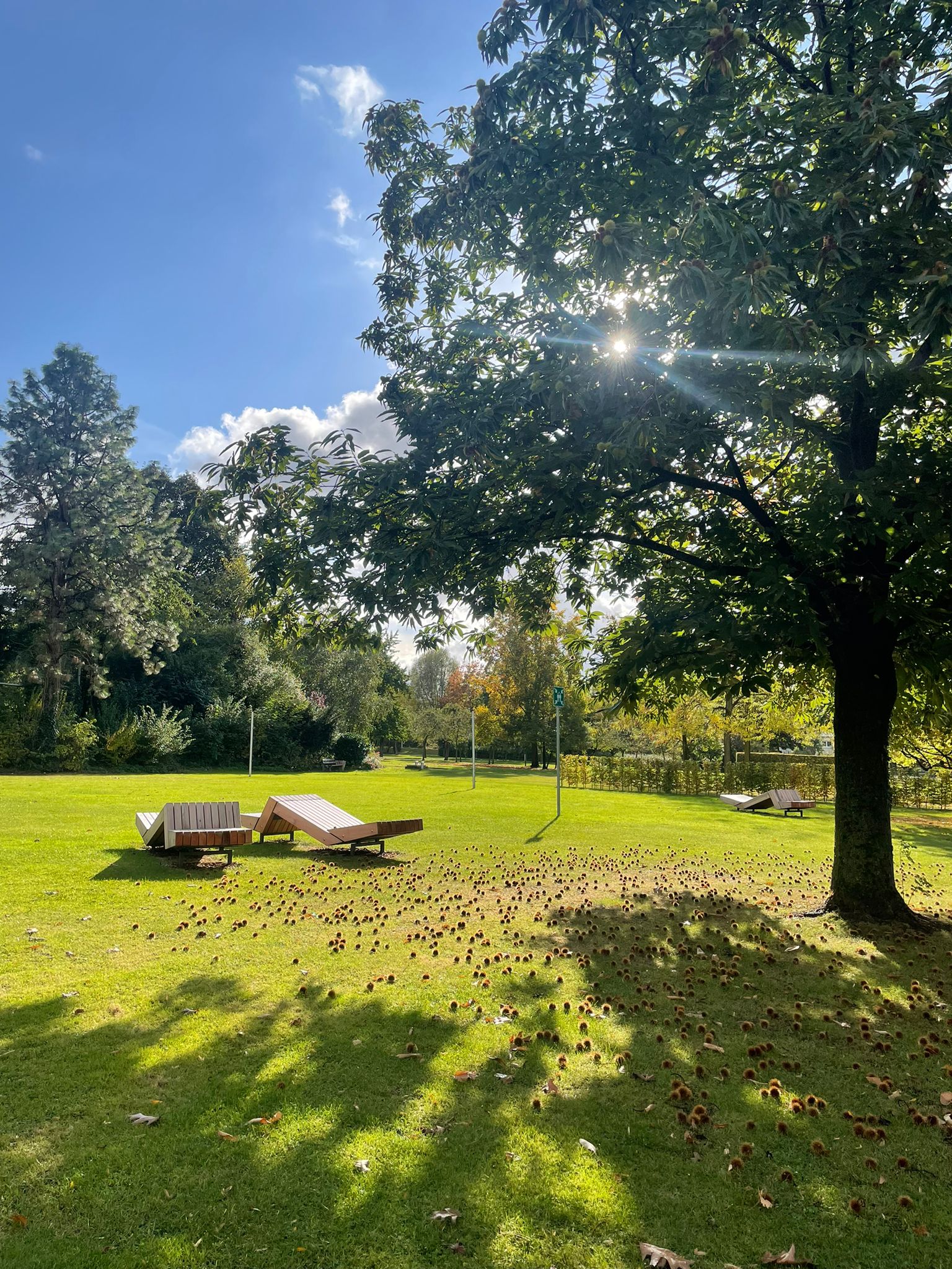 Garten hinter der katho