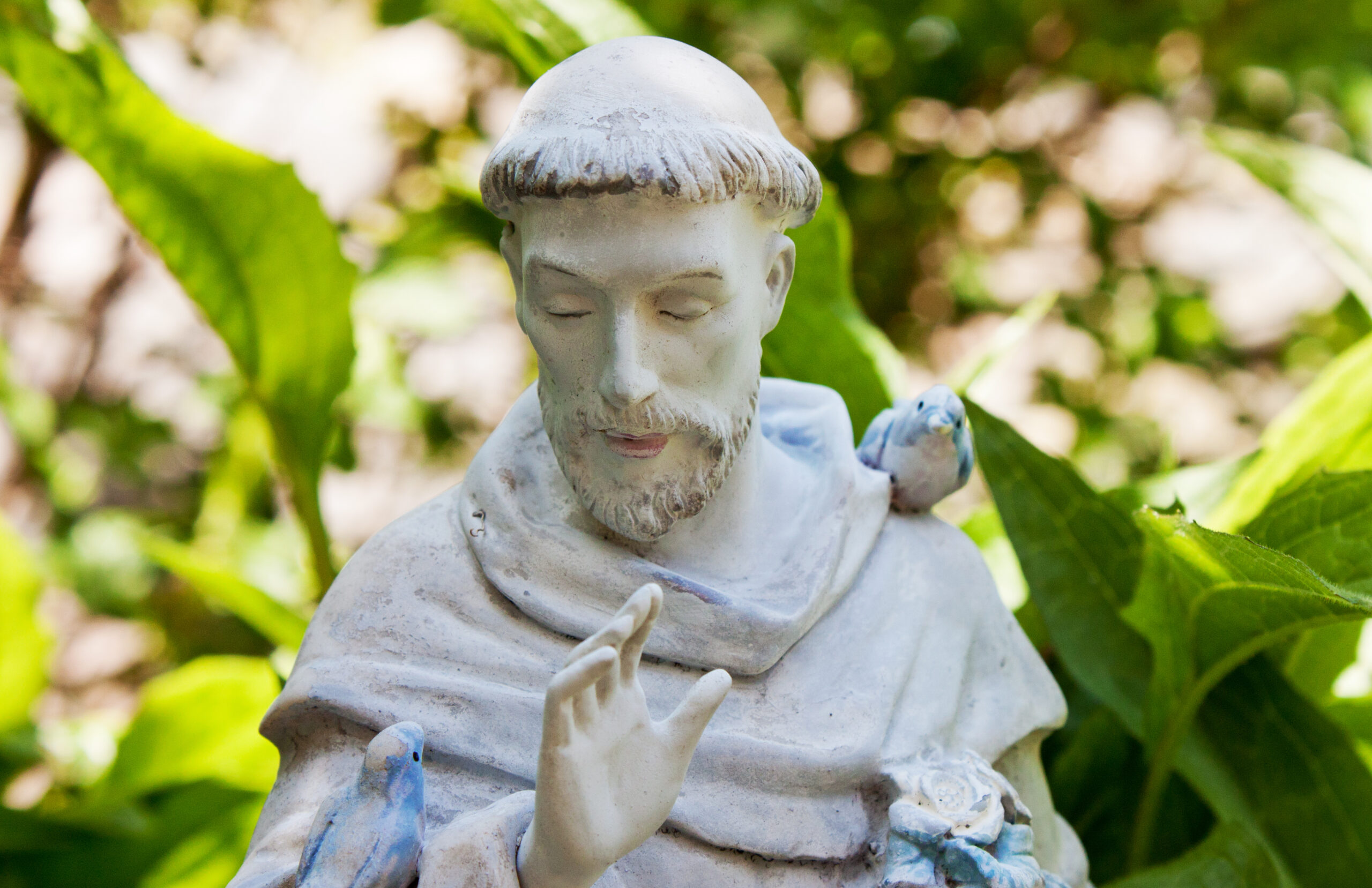 Statue des hl. Franziskus von Assisi