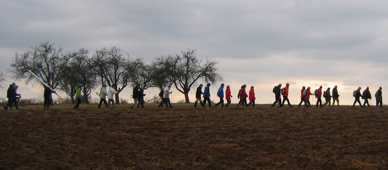 Menschen auf der Wallfahrt in grauer Wetterlage vor Bäumen