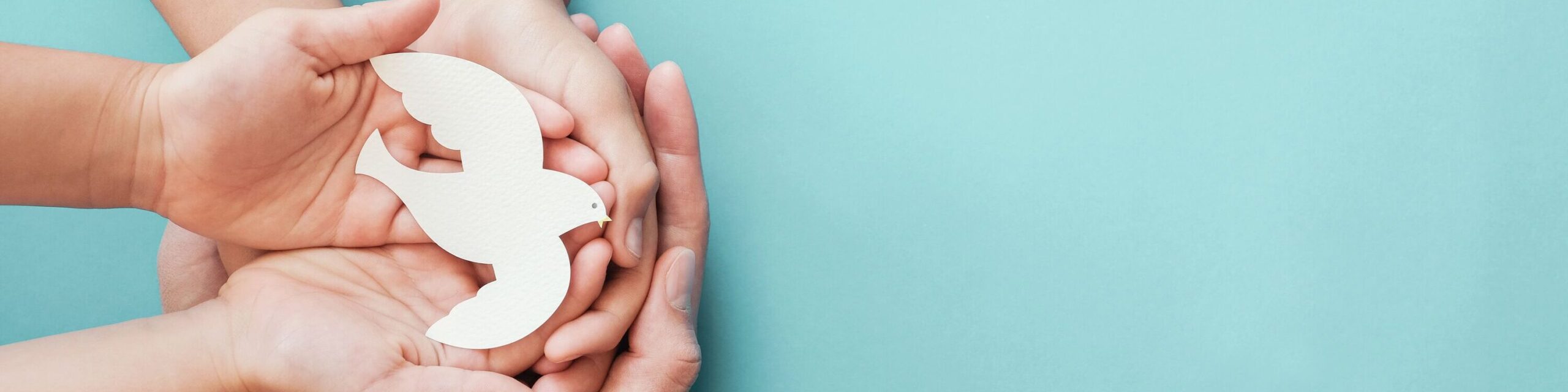 Ausschnitt einer weißen Taube in Händen