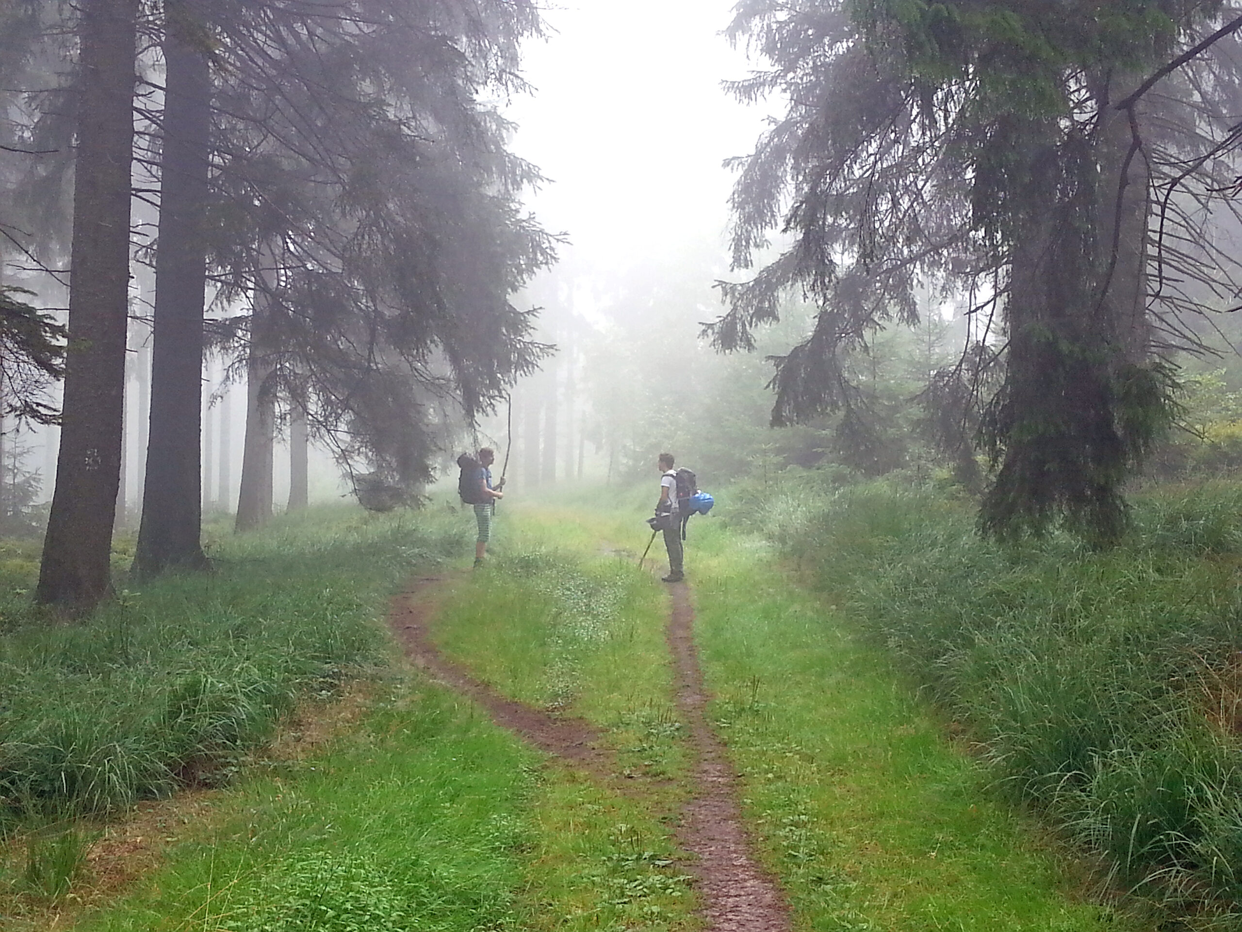 Zwei Menschen stehen auf einem Waldweg, um sie herum stehen dichte Nadelbäume und Nebel hängt in der Luft