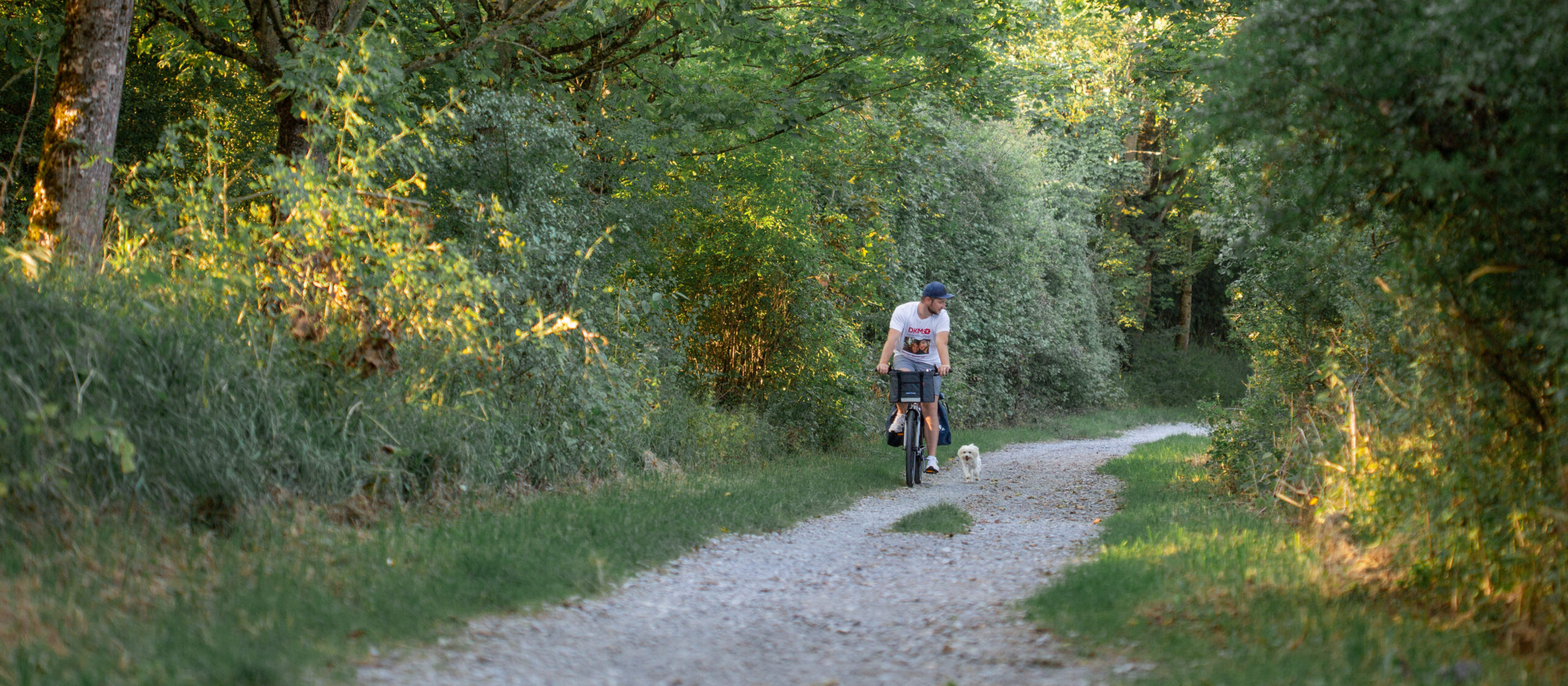 Mensch auf Fahrrad in der Natur, kleiner Hund läuft nebenher