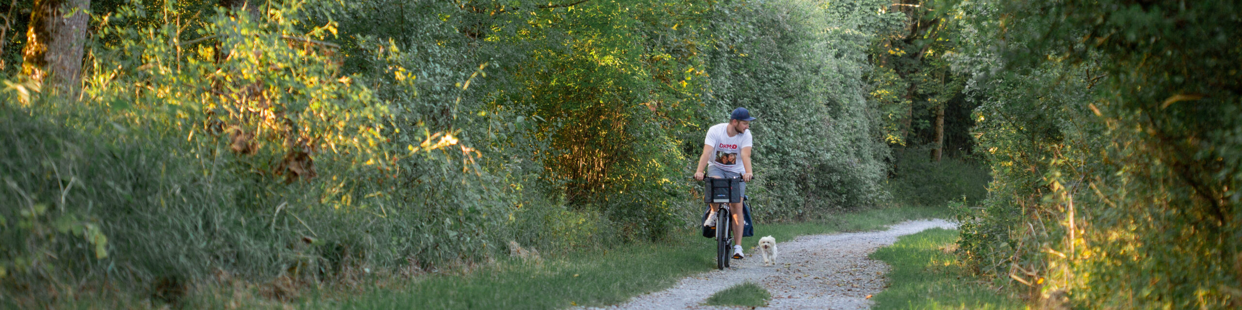 Mensch auf Fahrrad in der Natur, kleiner Hund läuft nebenher