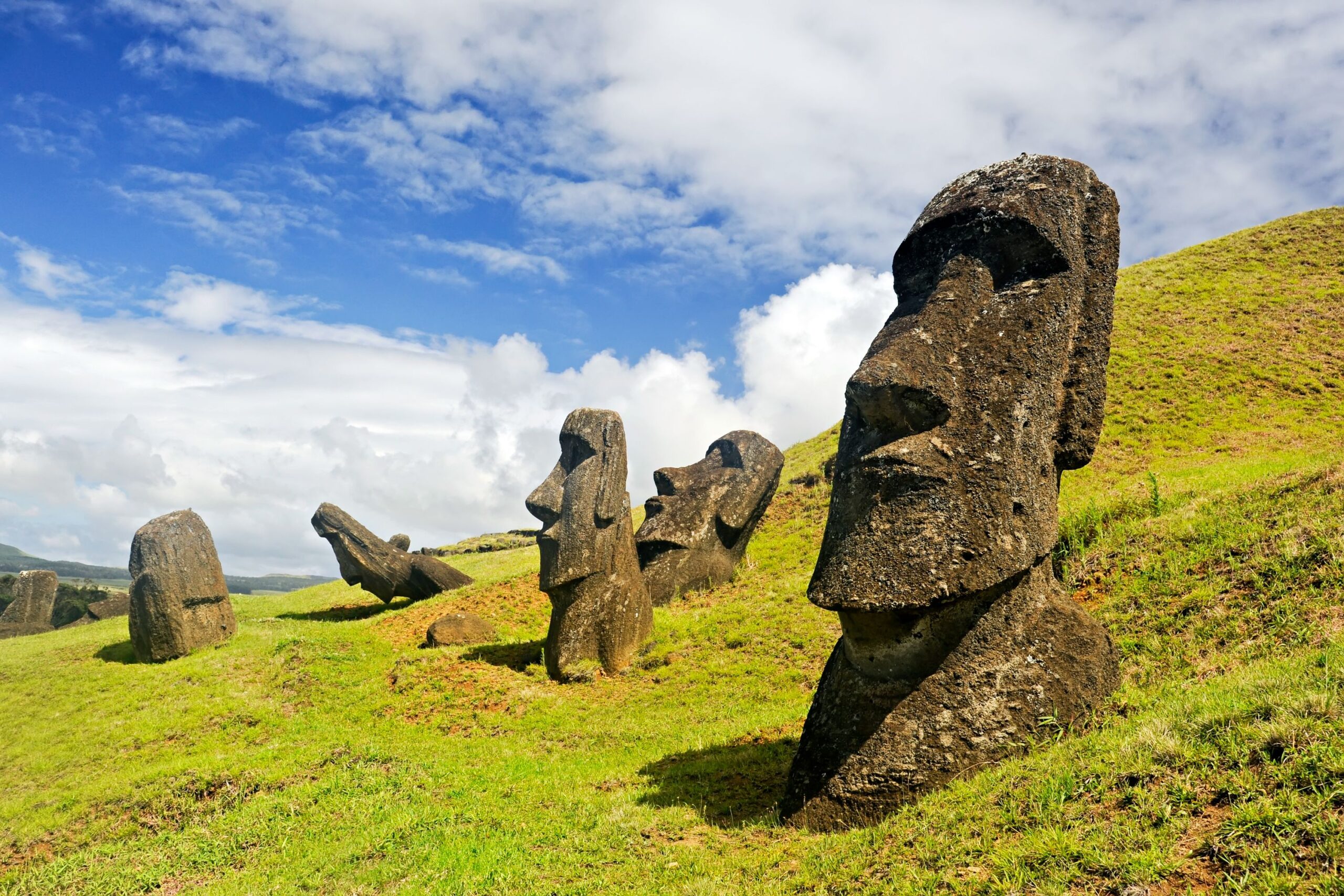 Moai Statuen auf grünem Gras mit wolkenbedecktem Himmel