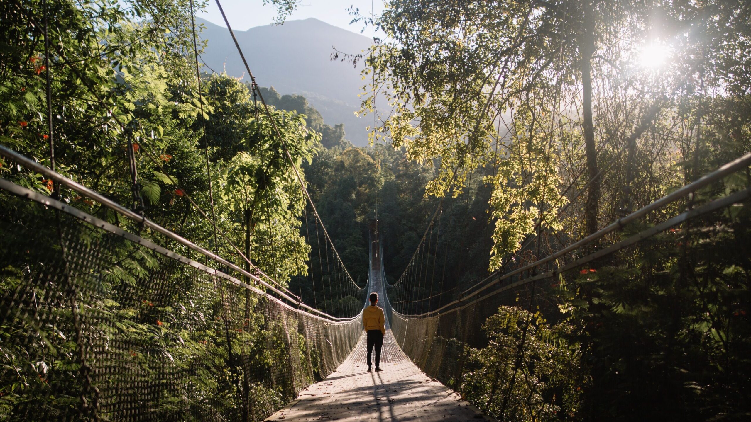Mann auf einer Hängebrücke im Wald bei gutem Wetter