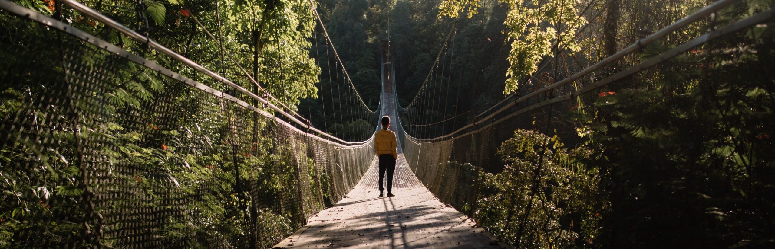 Mann auf einer Hängebrücke im Wald bei gutem Wetter
