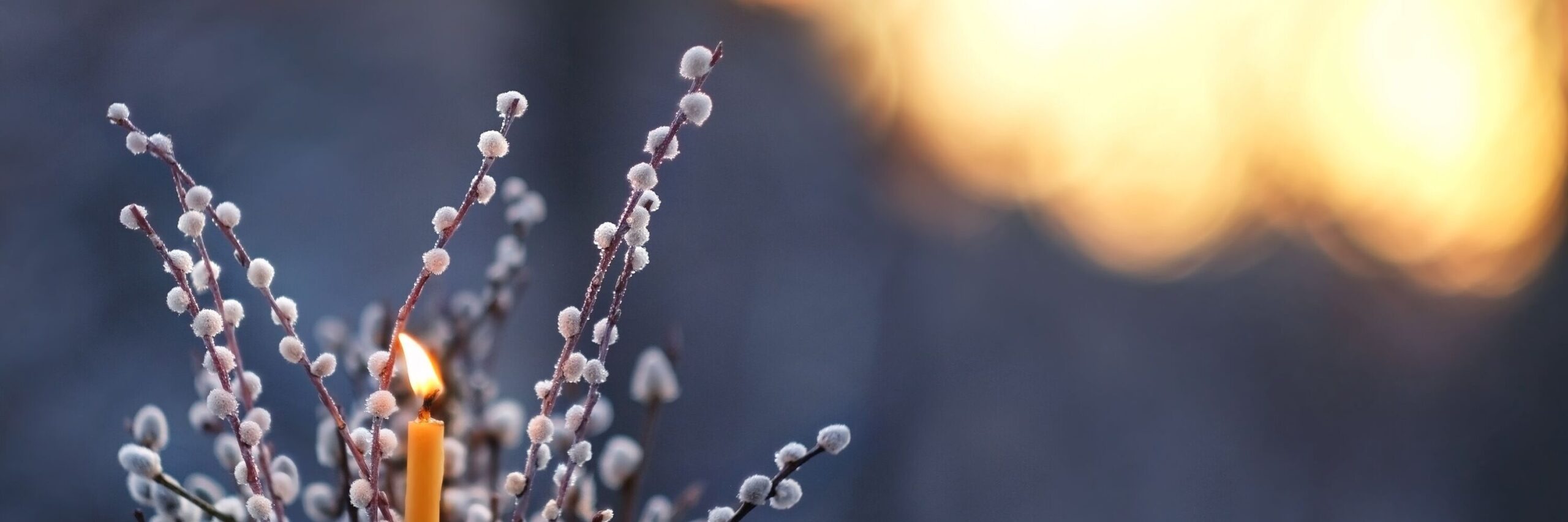 Kerze im Weidenzweig