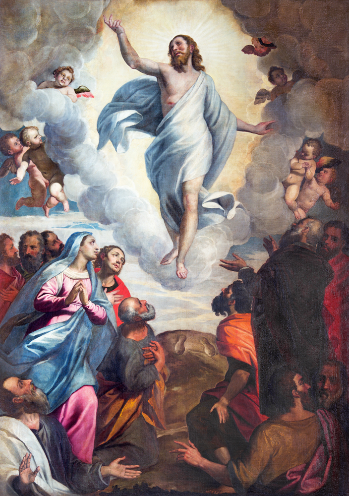 Das Gemälde Himmelfahrt des Herrn in der Kirche Chiesa di Santa Maria del Carmine von Bernardino Gandino