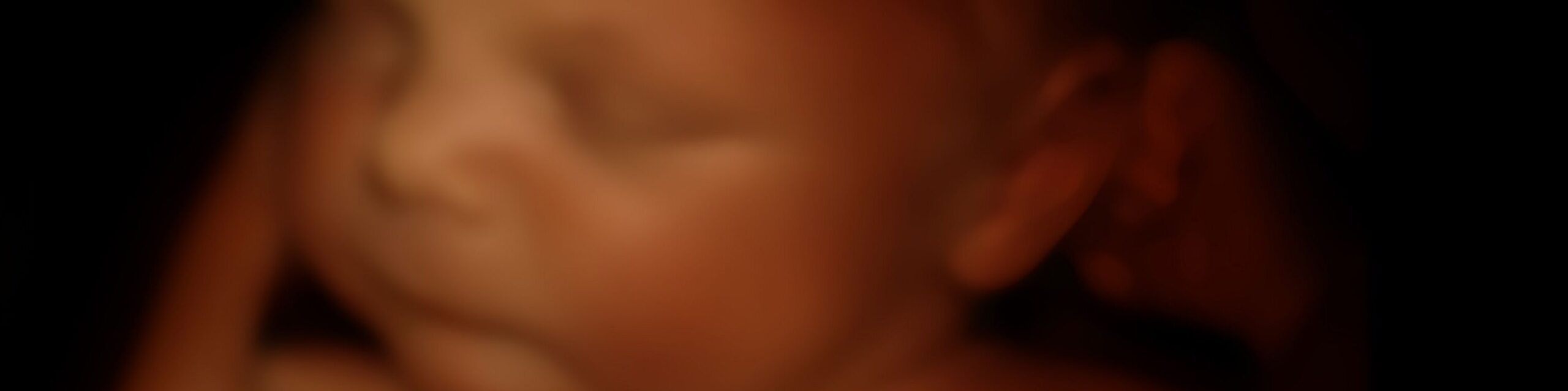 ungeborenes Baby im Mutterleib