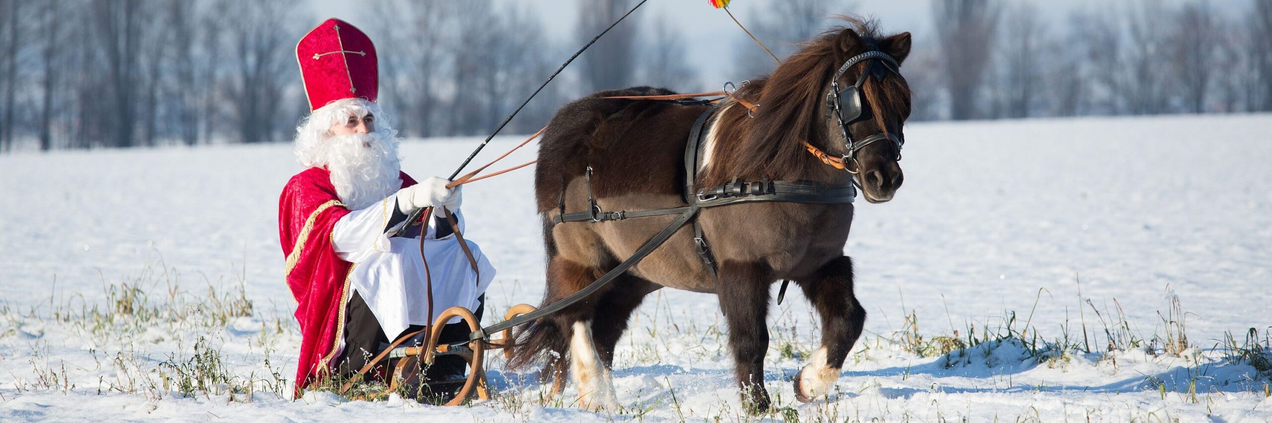 In Tschechien kommt St. Nikolaus mit dem Pferdeschlitten über das Feld gefahren