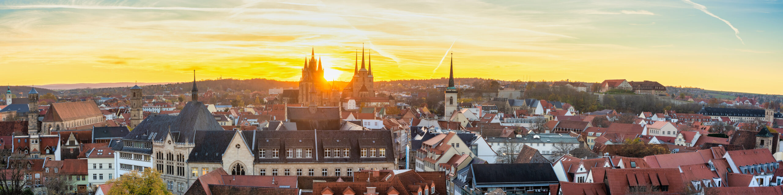 Panoramablick auf Erfurt