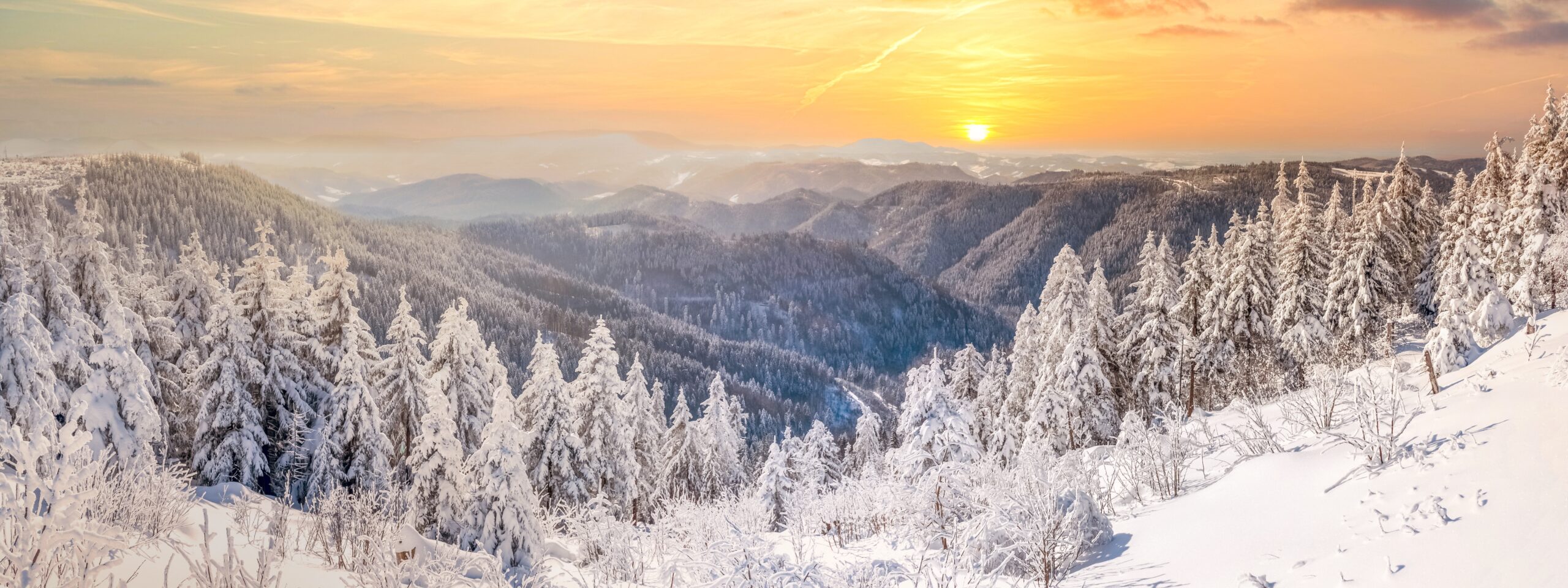 Winterliche Landschaft im Advent