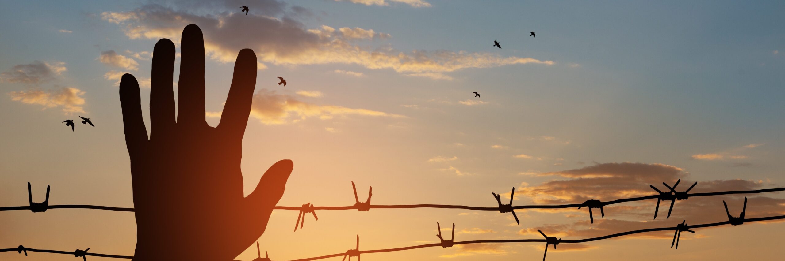 Hoffnung im Gefängnis Hoffnung im Gefängnis