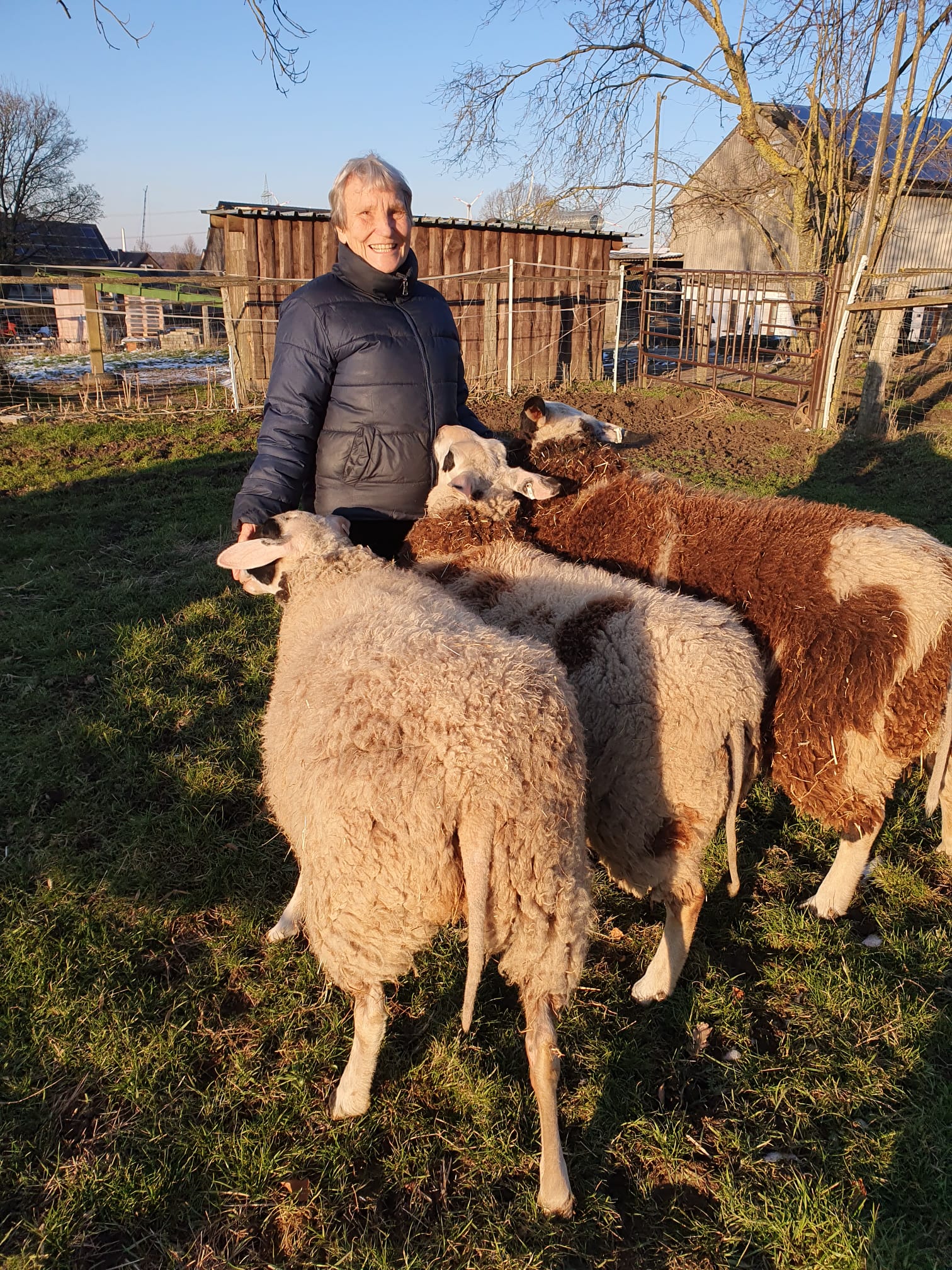 Eine Bewohnerin des Mehrgenerationenhofes in Radlinghausen kümmert sich um die Schafe.