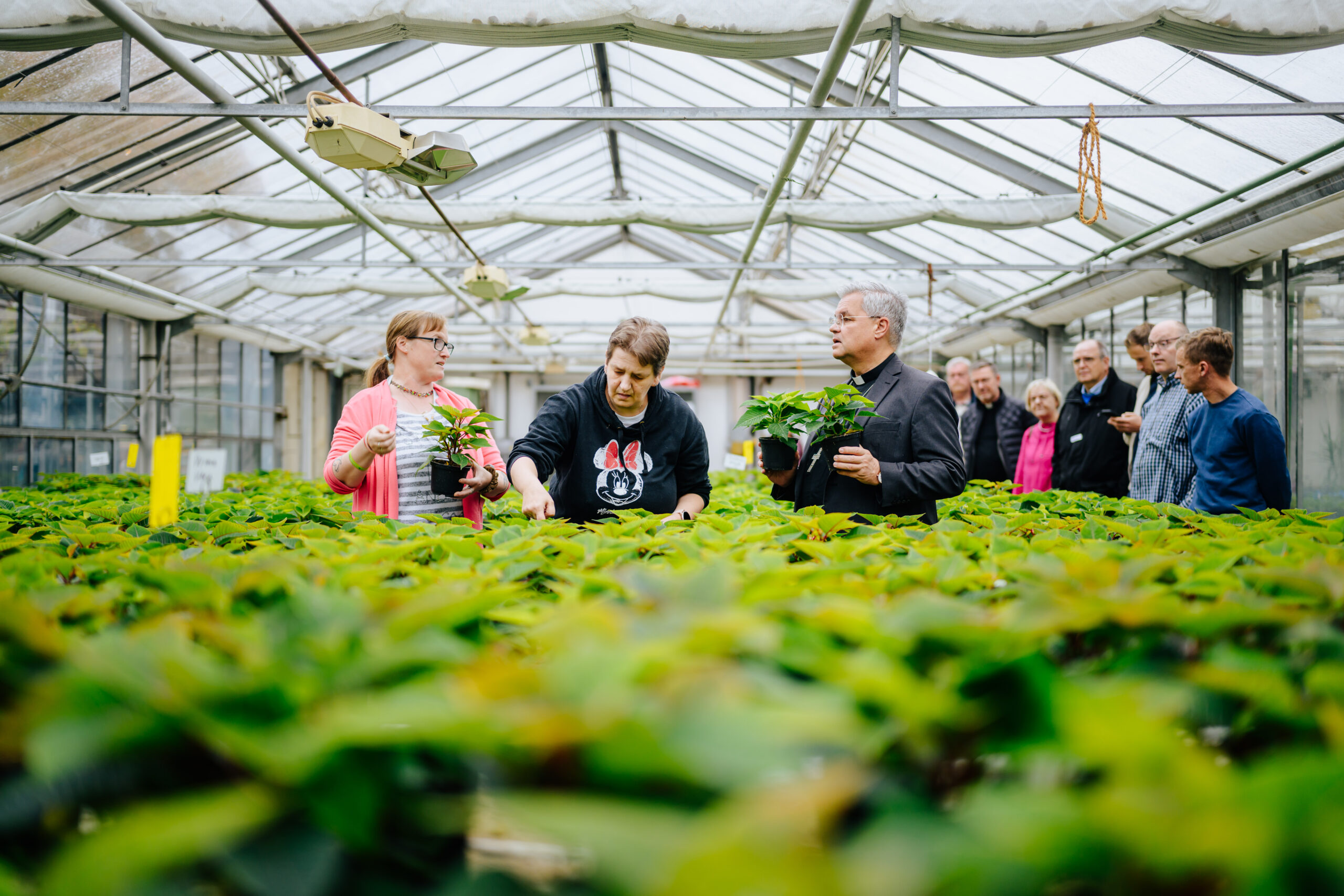 Erzbischof Bentz in der Gärtnerei der Caritas-Werkstätten in Arnsberg.