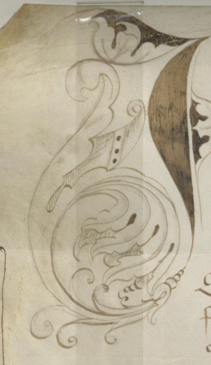 Initiale am Anfang des Urkundentextes.