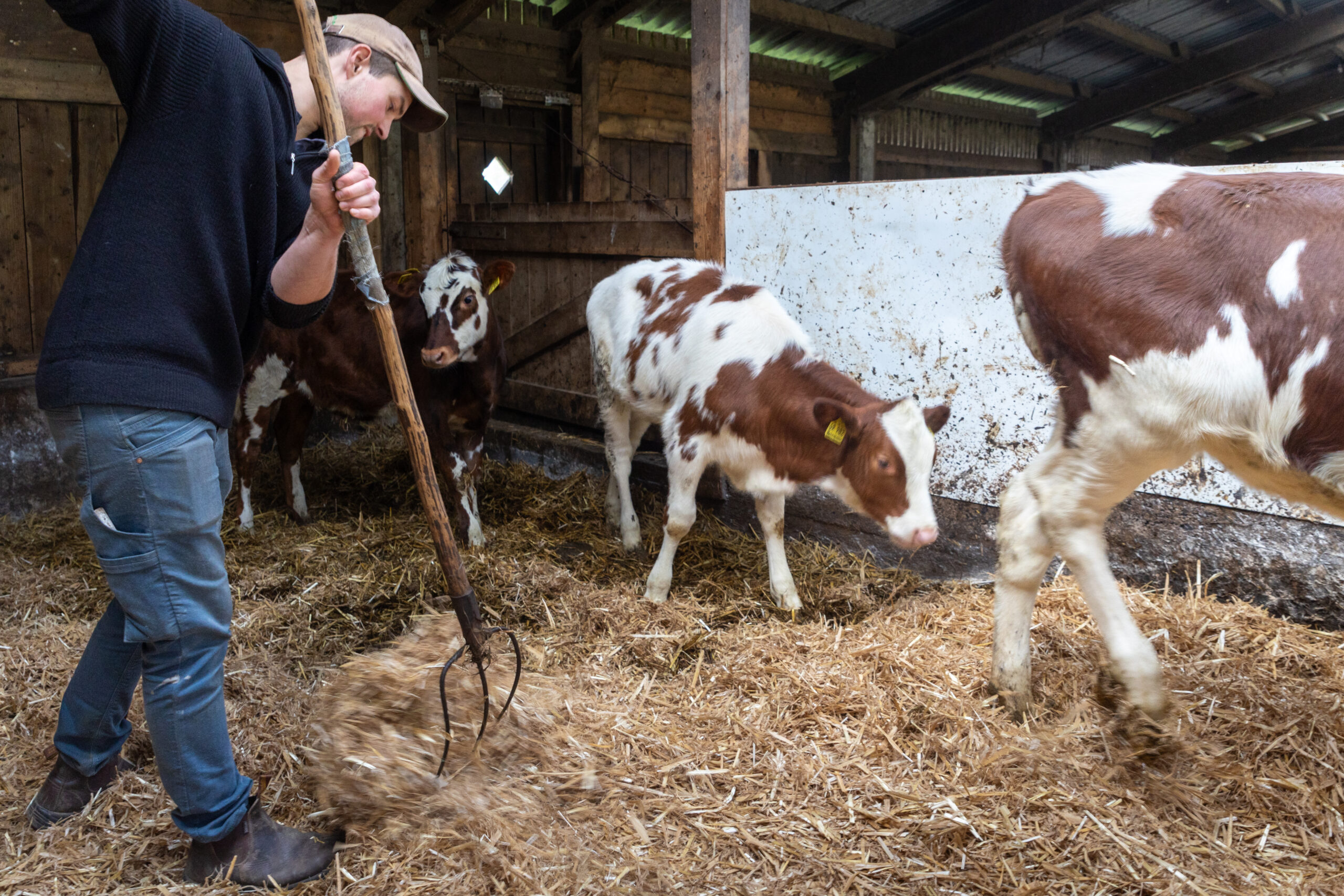 Christian Richard im Stall