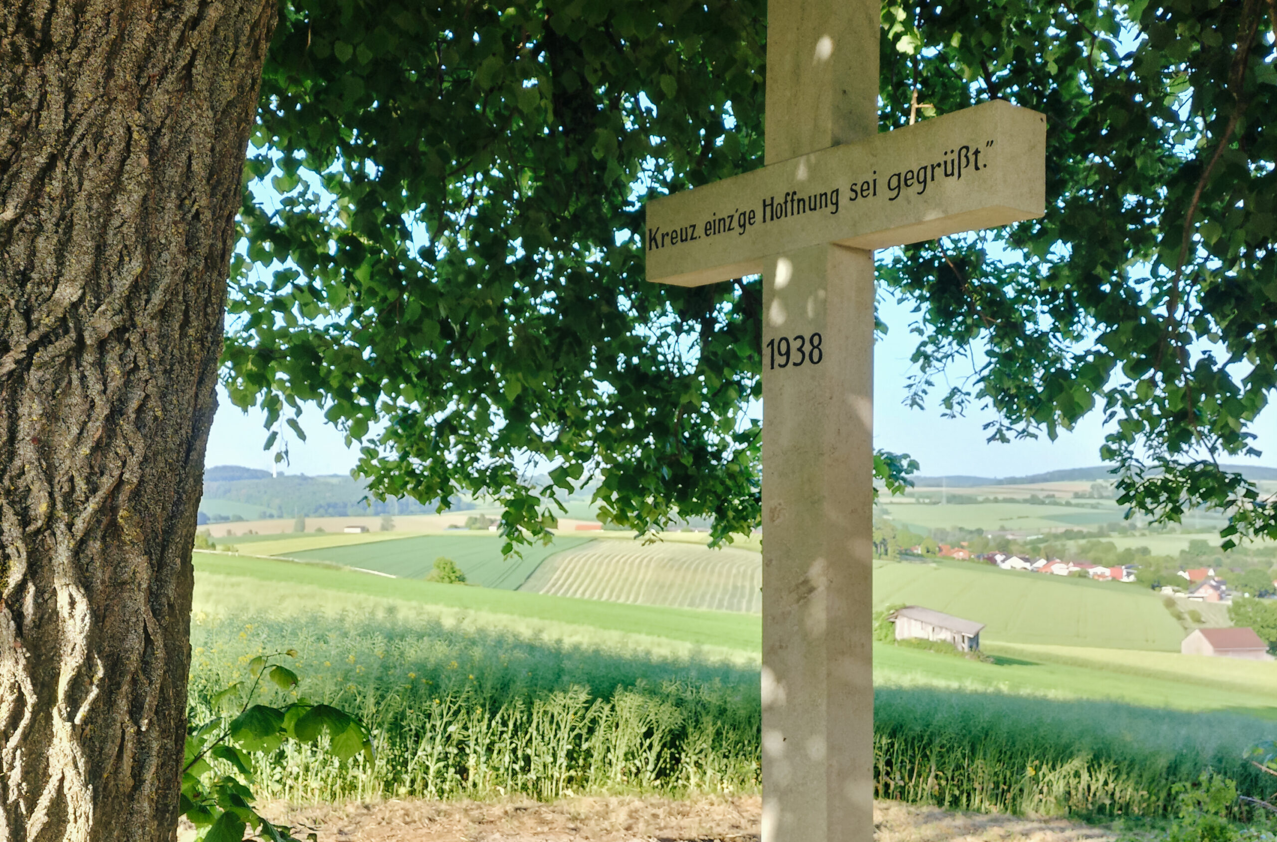Aufnahme eines Kreuzes unter einem Blätterdach