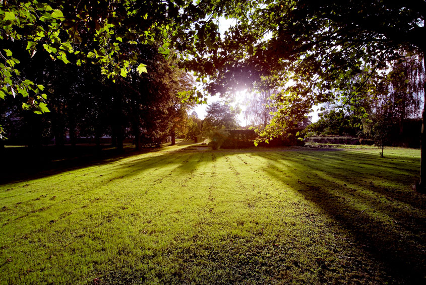 Abtei Königsmünster „Tagen der Gärten und Parks“Abtei Königsmünster „Tagen der Gärten und Parks“