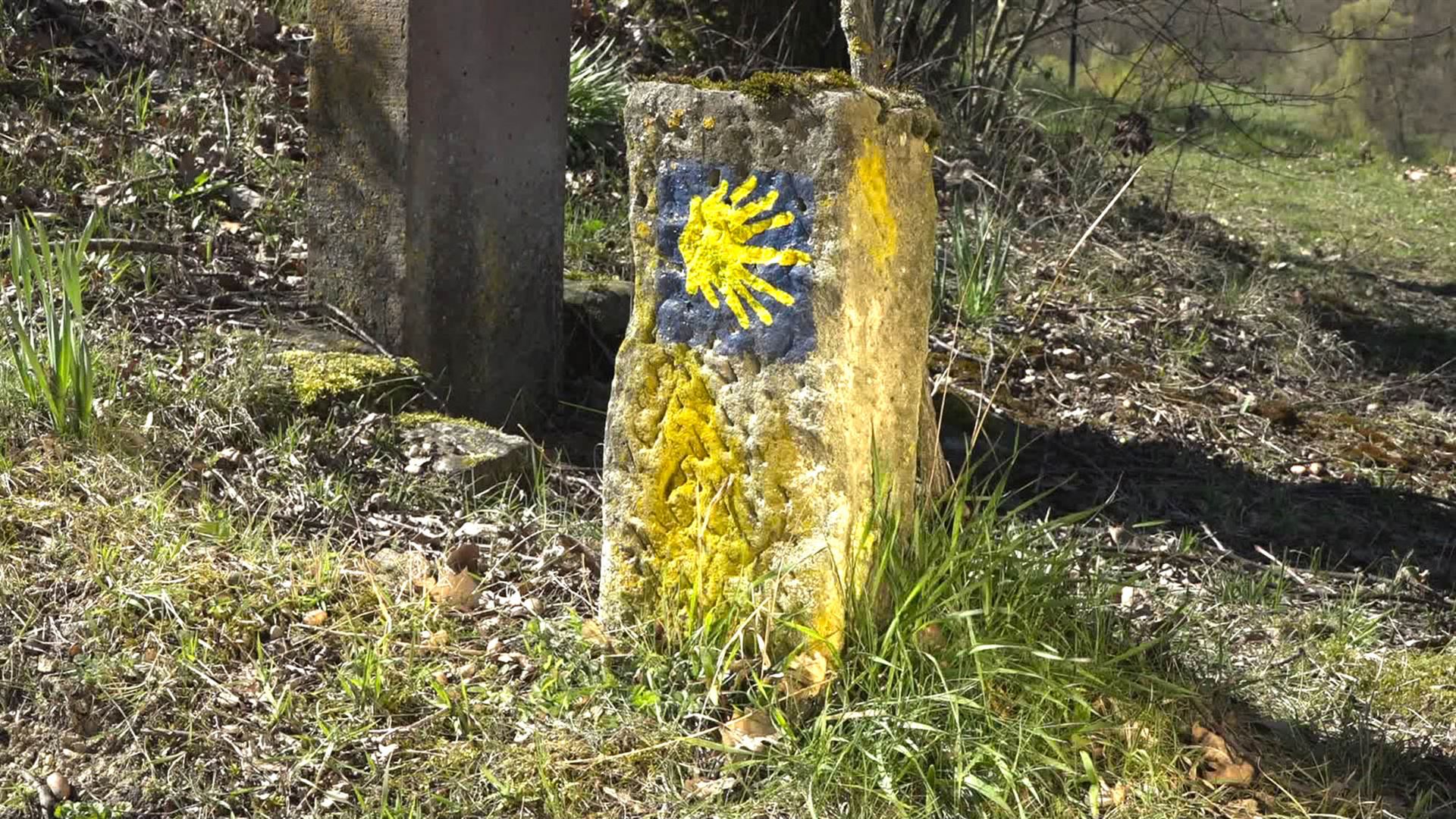 Symbol der Jakobspilger: Die gelbe Muschel auf blauem Hintergrund, hier ist sie am Wegesrand im Hochstift auf einen Stein gezeichnet.